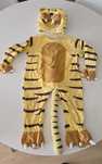 Disfarce carnaval Tigre