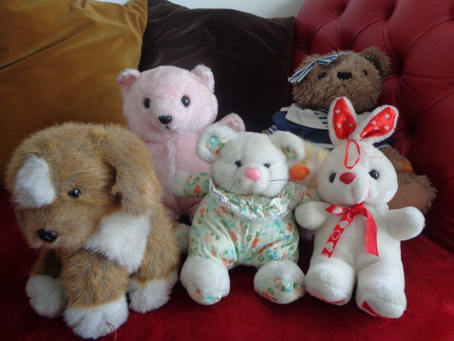 Os amigos Peluches procuram novo quarto