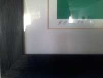 Molina serigrafia HC 20/20