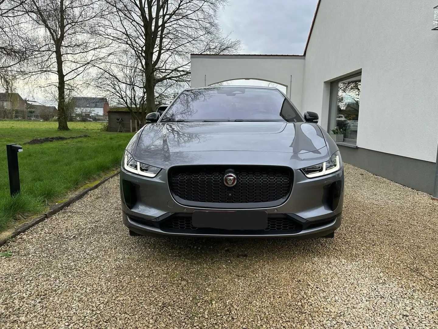 Jaguar I-Pase 2021