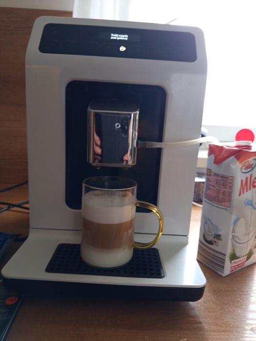 Ekspres ciśnieniowy Krups EA 89