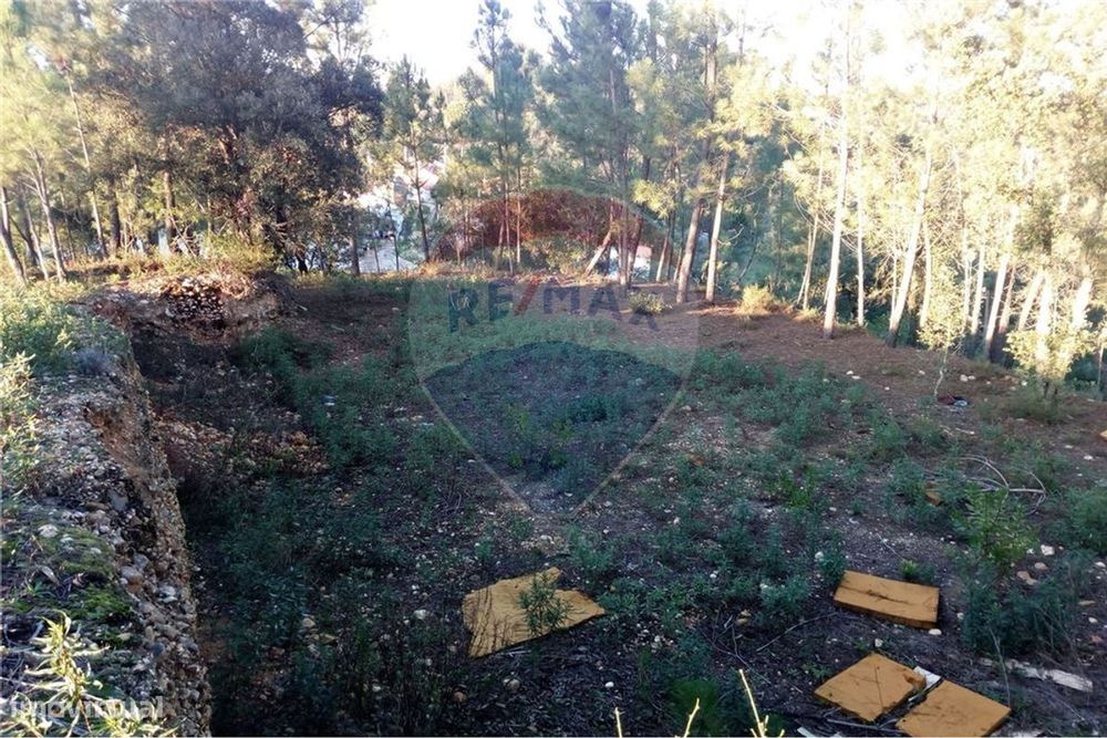 Terreno Para Construção