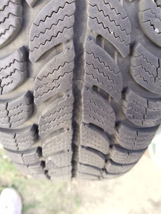 Opony zimowe Dębica