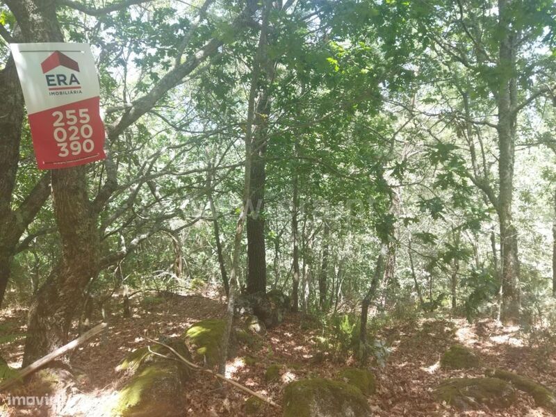 Terreno / Baião, Campelo e Ovil
