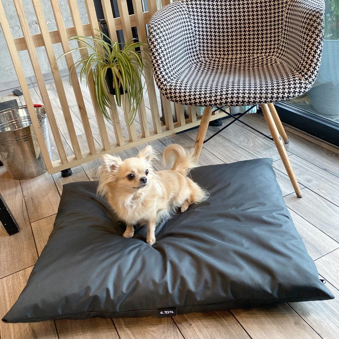 Wodoodporne legowisko poduszka dla psa ZOE (60x50 cm, Czarny)