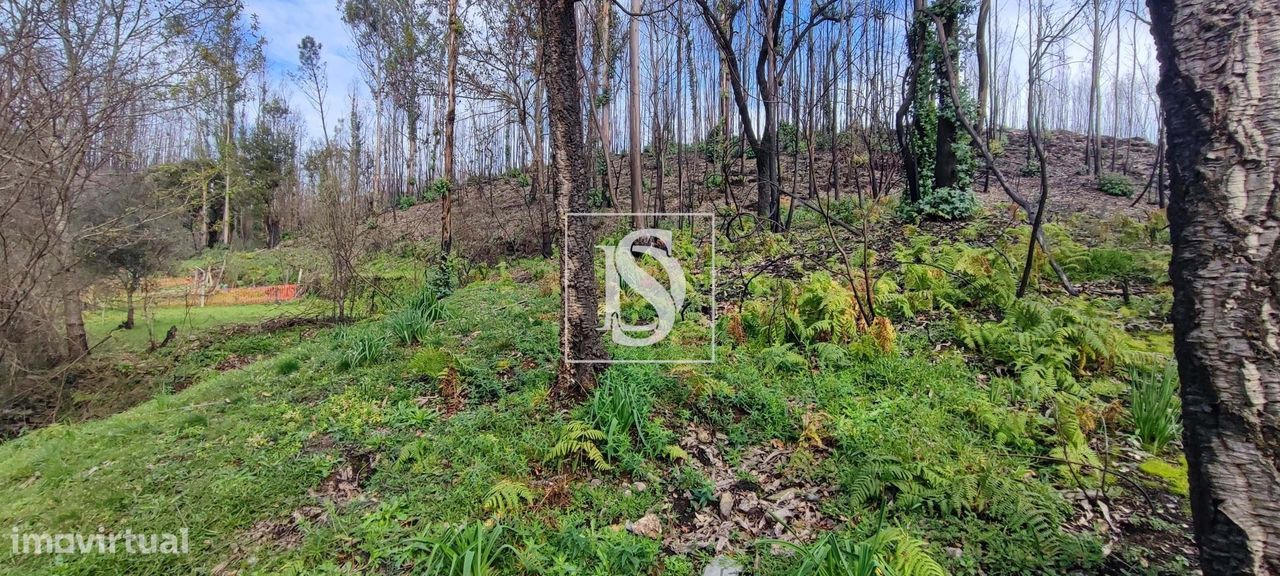 Terreno de 2,4Ha em Melres