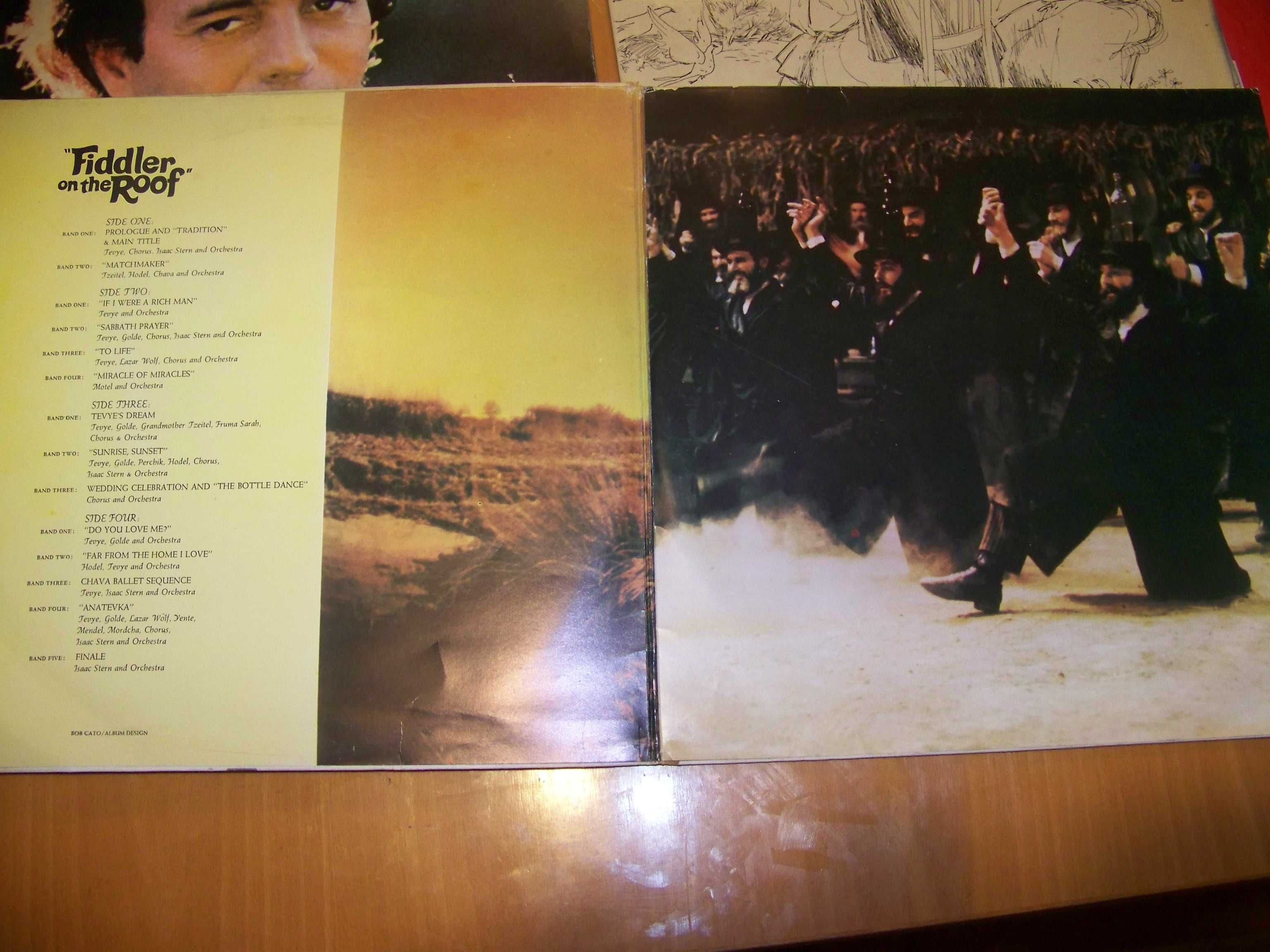 lote de 13 discos antigos raros em vinil