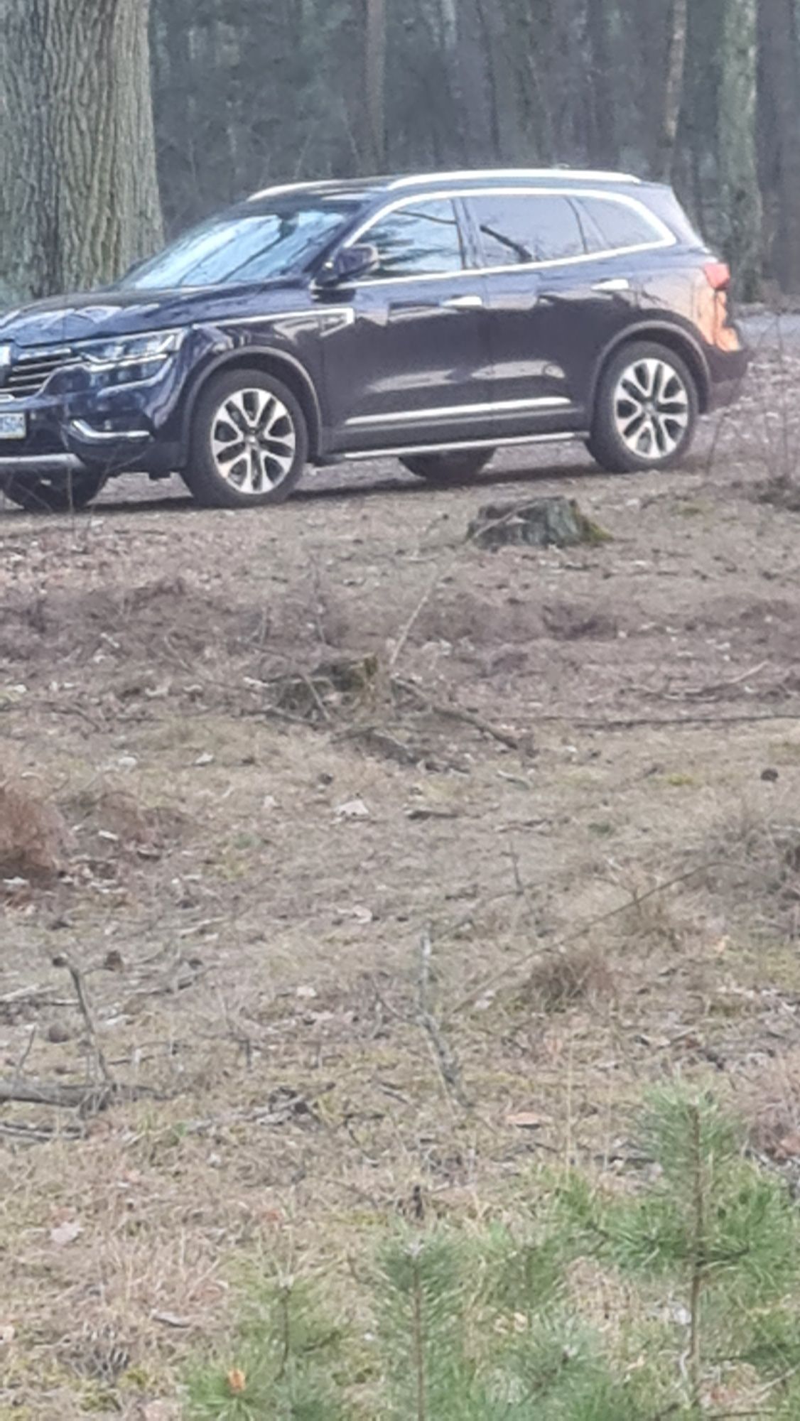 Renault Koleos 2019