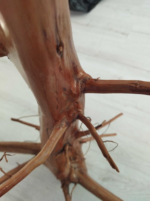 naturalne korzenie -dekoracja/do projektów DIY, cena za 1 szt. (mam 2)