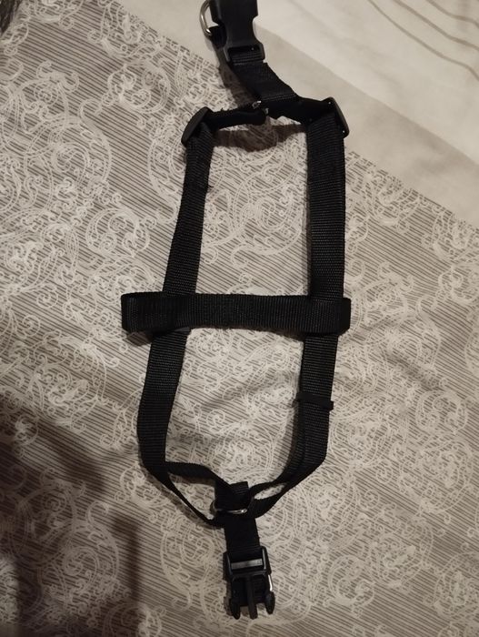 Продам шлею для собак