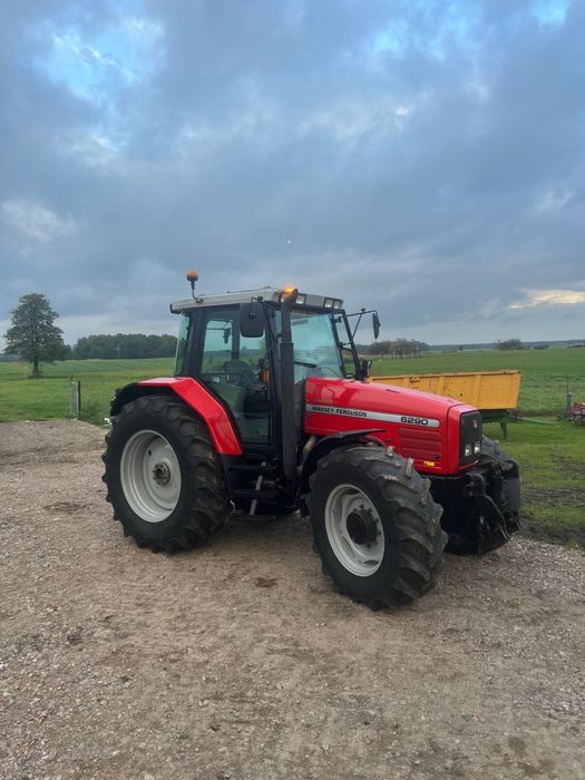 Massey ferguson 6290. Ładny Stan, klima, inne 6270