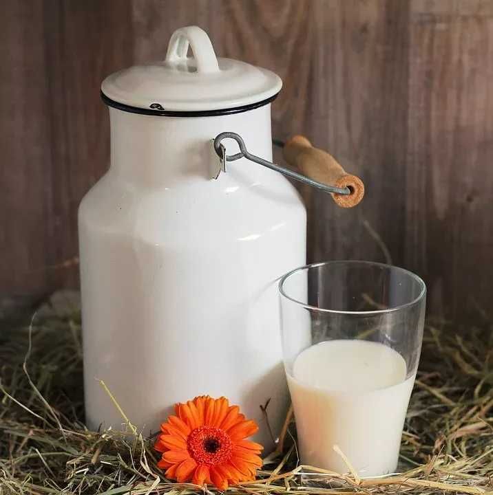Mleko kozie Kozie mleko ser wysyłka