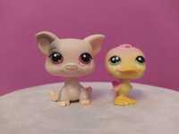 LPS Littlest Pet Shop G2 zestaw świnka i kaczuszka