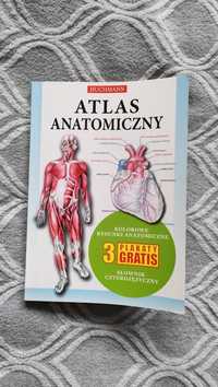 Atlas anatomiczny Buchmann