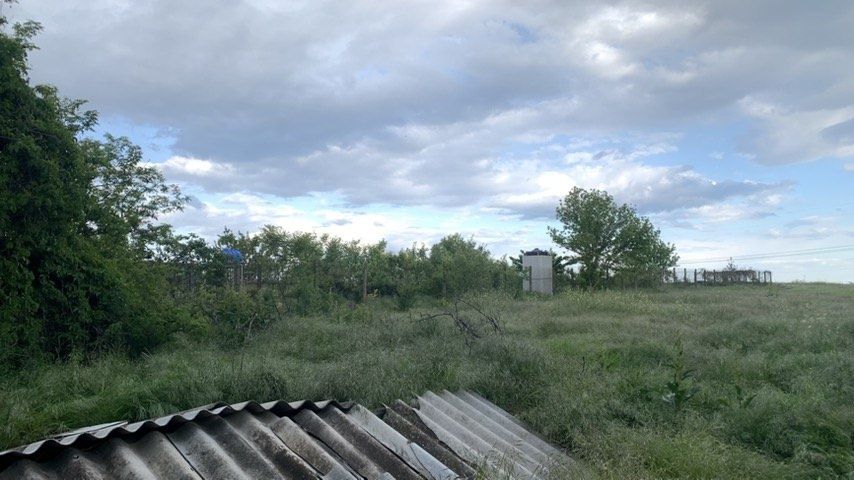 Продажа жома в Великой Балке