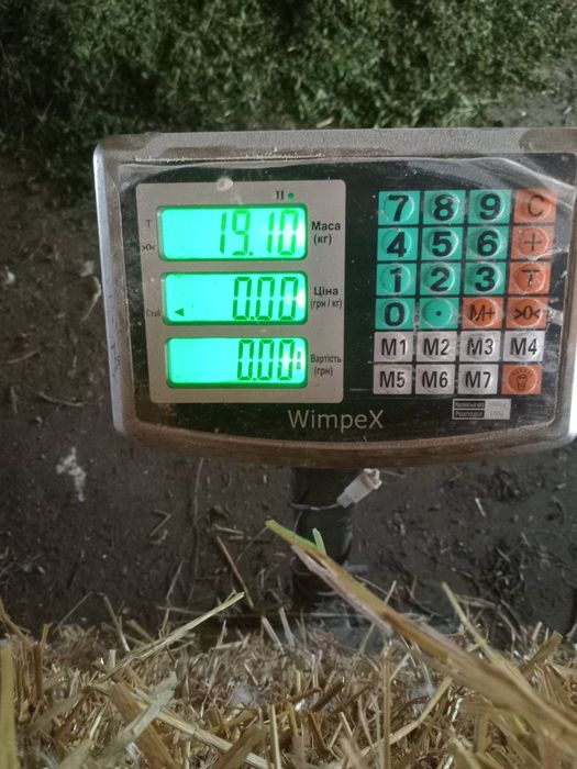 Тюки сіна соломи