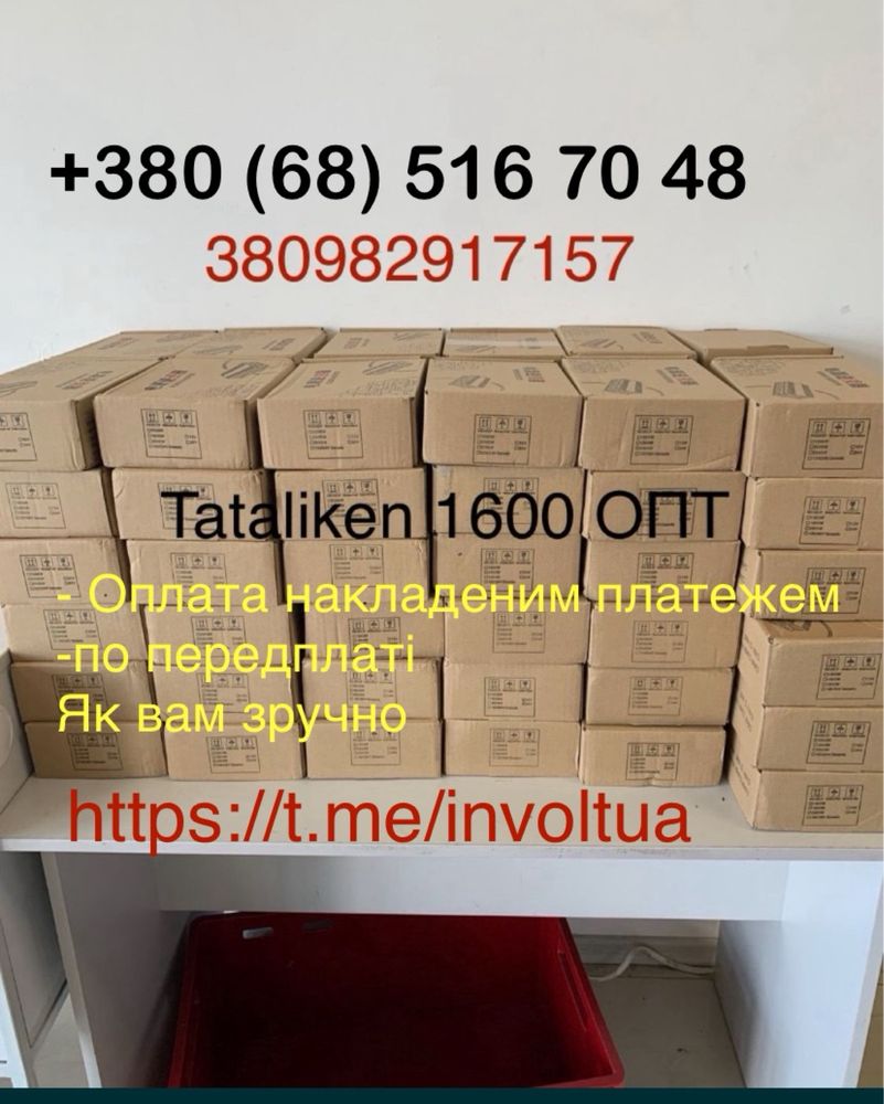 Інвертор чистий синус