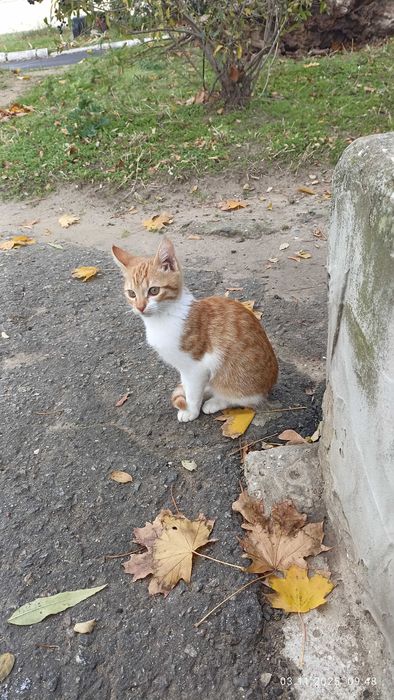 Срочно! Маленкое солнышко ищет любящую семью