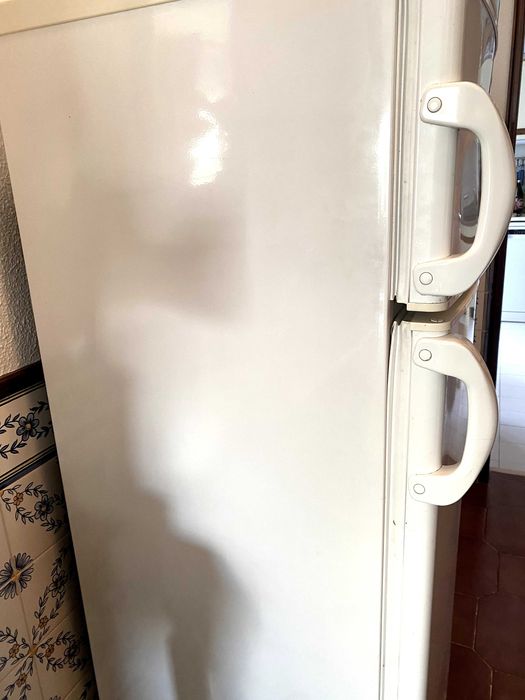 Frigorifico Singer combinado