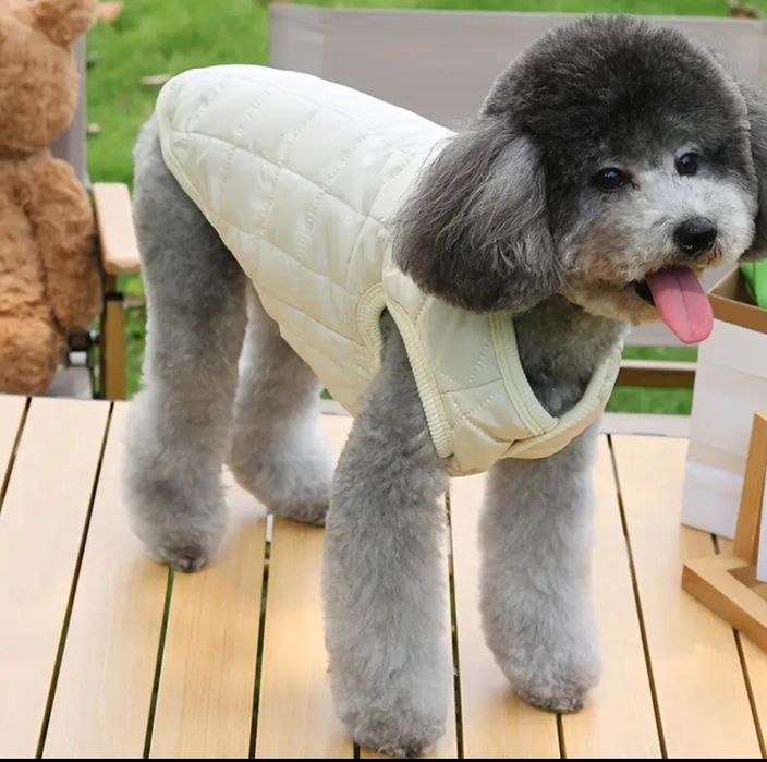 Roupa de cão ou gato