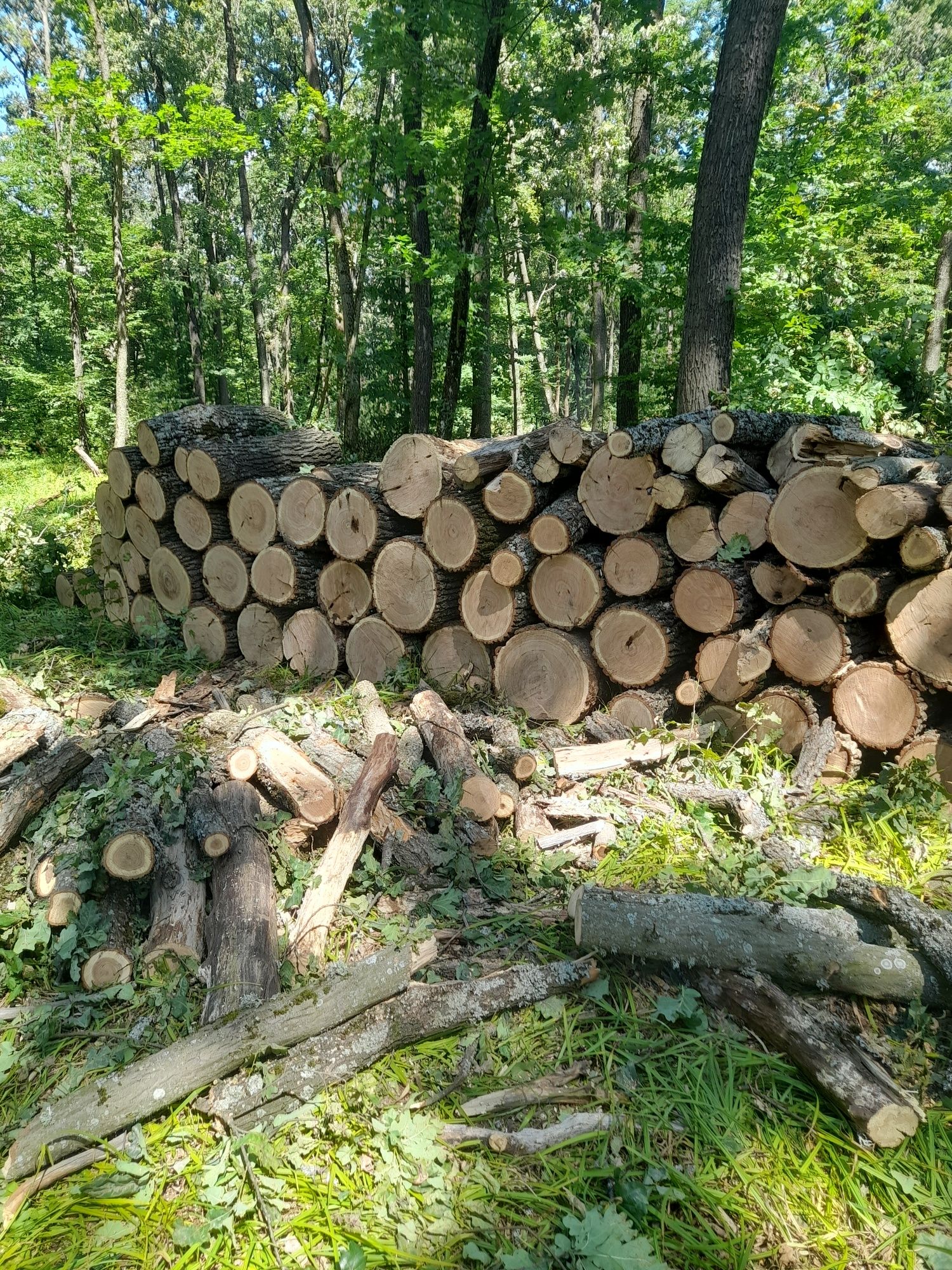 Продам дрова с доставкой