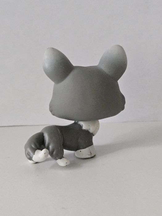 Corgi Littlest pet shop
