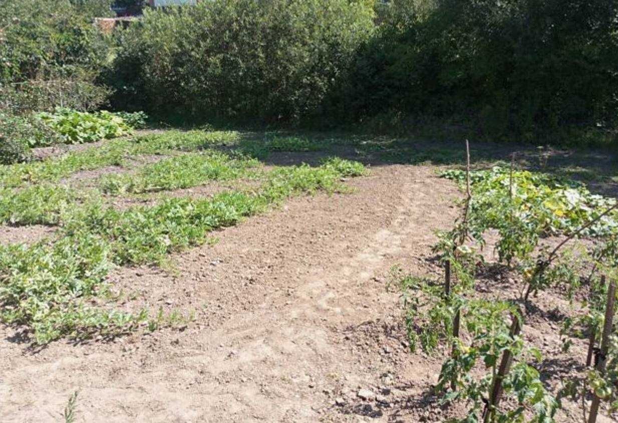 Земельна ділянка під забудову 6 с.