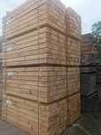 Krawędziak strugany 12x12, słup, długość 2,20m
