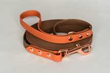 Smycz linka treningowa wodoodporna hexa 1,6cm 5m Corgi.To