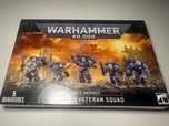 Vanguard Veteran squad - Space Marines/Warhammer 40k