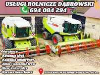 Zbiór rzepaku, zbóż oraz kukurydzy na kiszonkę