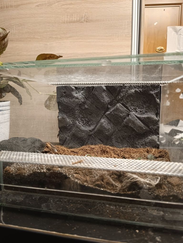 Ścianki do terrarium