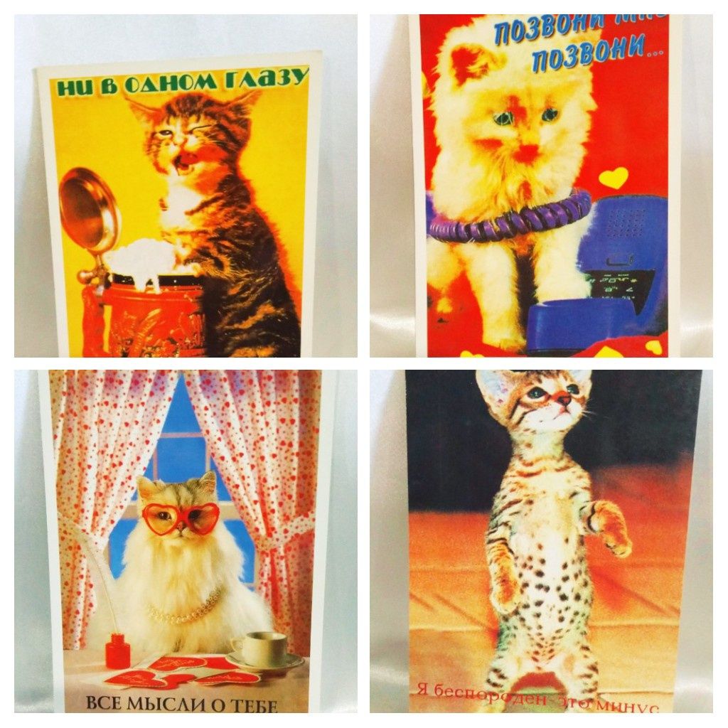 Набор открыток.  =Милые котики=