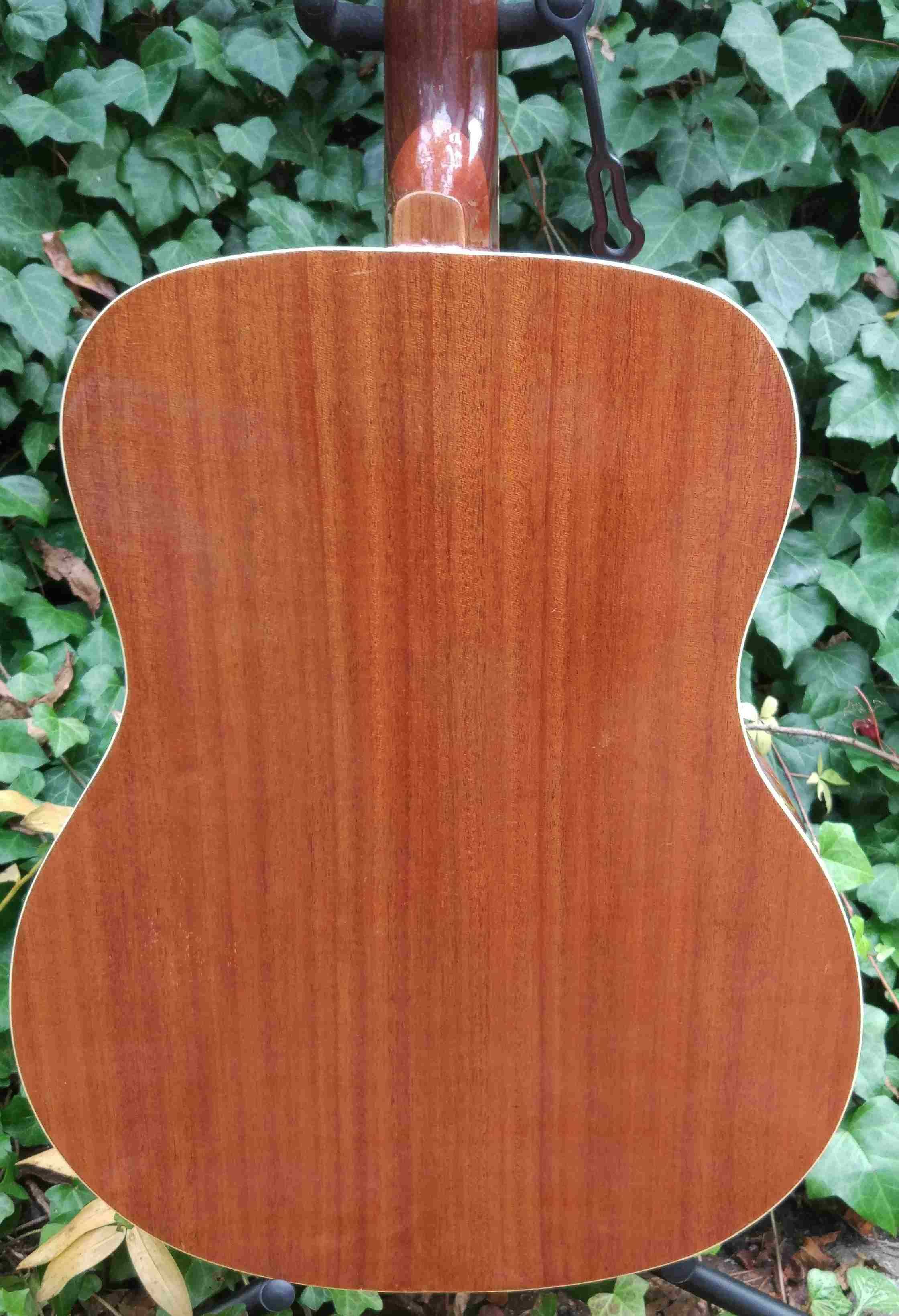 Gitara akustyczna Kor/Sonic- mane in Japan
