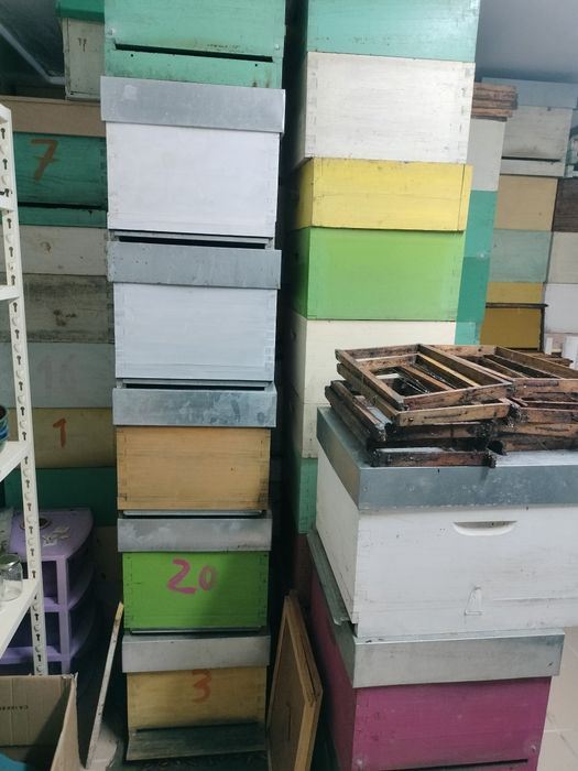 Colmeias langsthroth