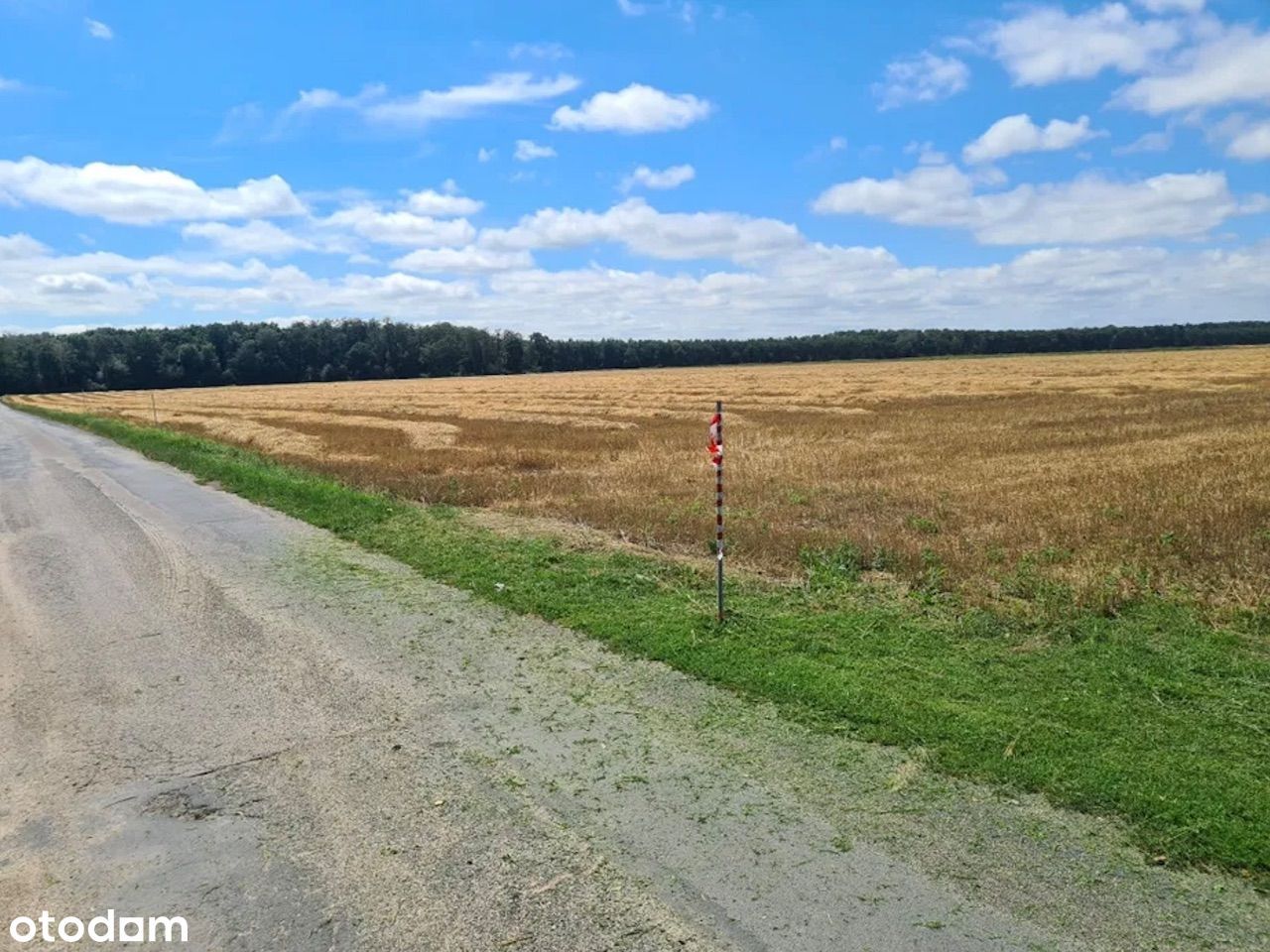 Działka na sprzedaż | WZ | blisko S5, koło Stęszew