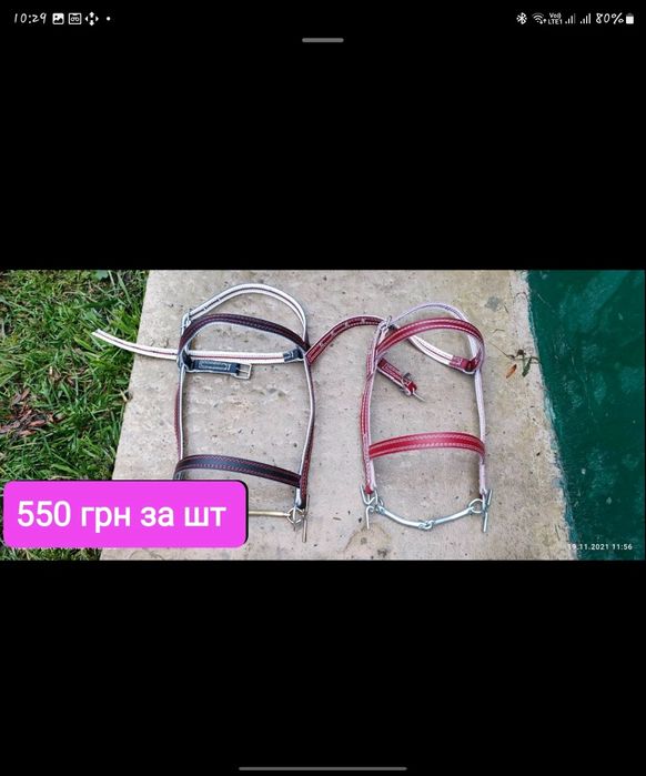 Упряж для коня робочого варіанту