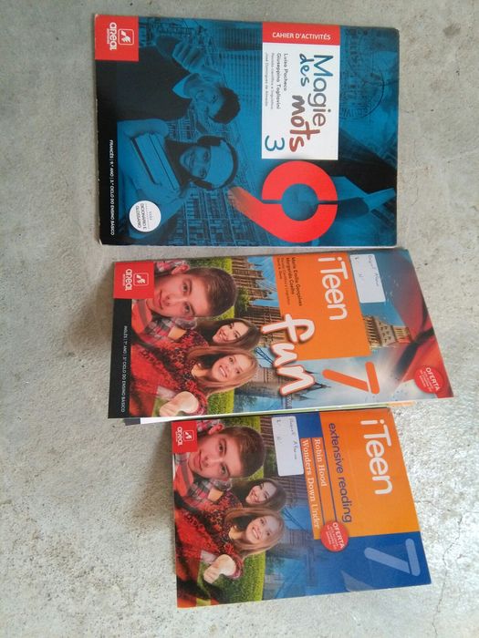 Cadernos de Actividades e Manuais 6 °,  7°, 8º, 9° ,10 ° e 11° Ano