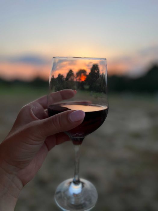 Domek do wynajęcia z sauną i z kominkiem I tyrolką