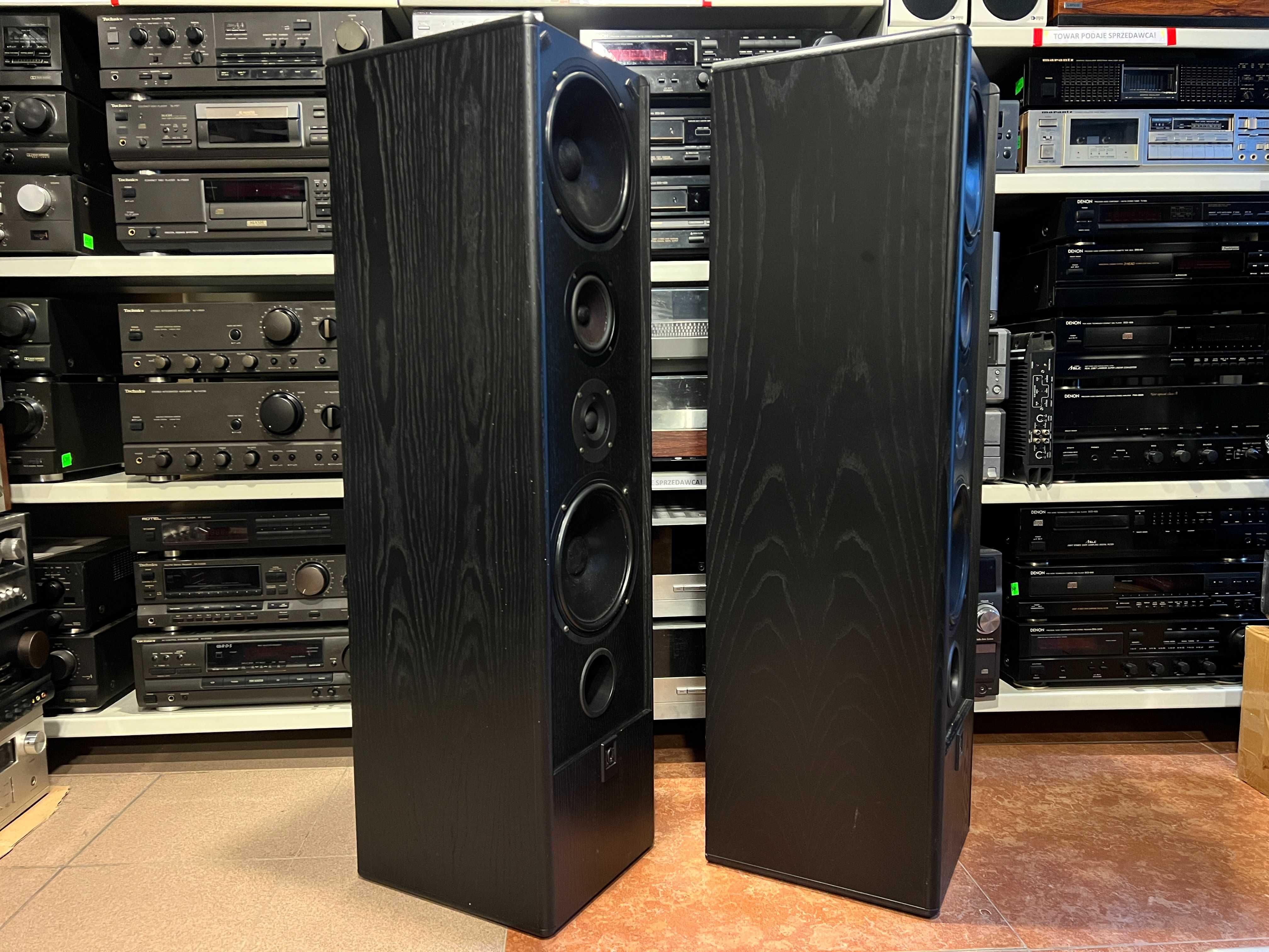 Kolumny podłogowe IQ TED 4, Potężne, Audio Room