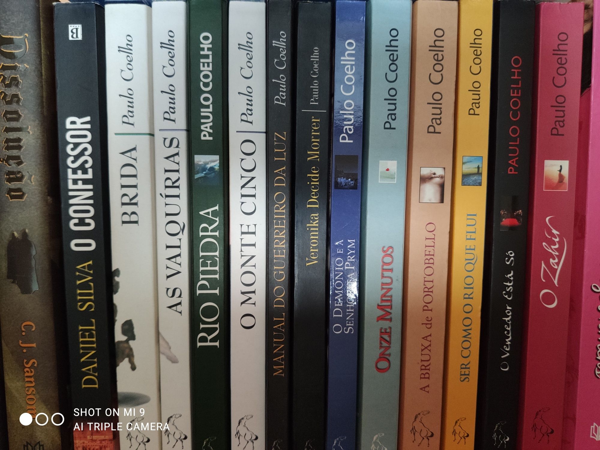 Livros variados - autores nacionais e estrangeiros