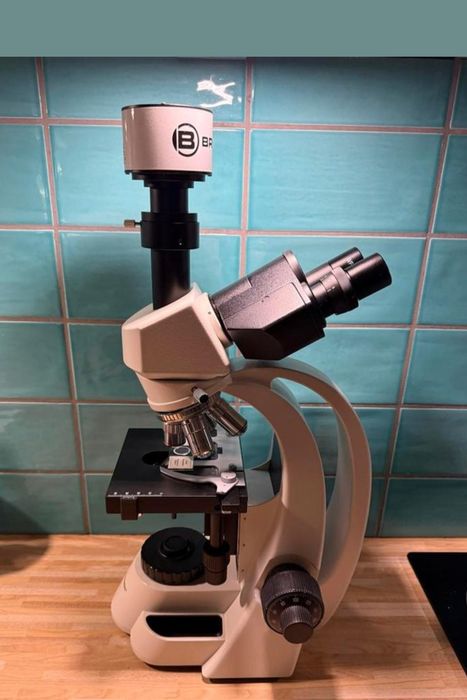 Темнопольный микроскоп