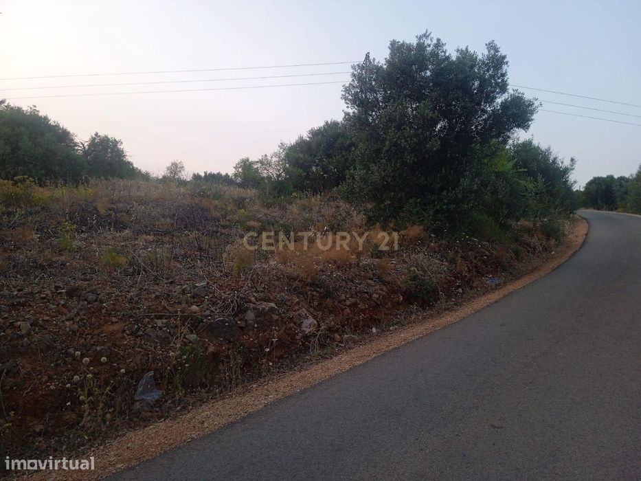 Não Perca Esta Grande Oportunidade!