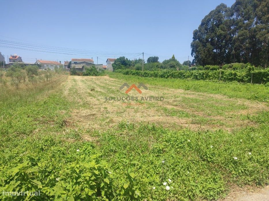 Terreno com 750 m² em Fermentelos!