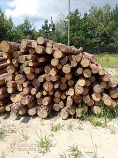 Stęple budowlane