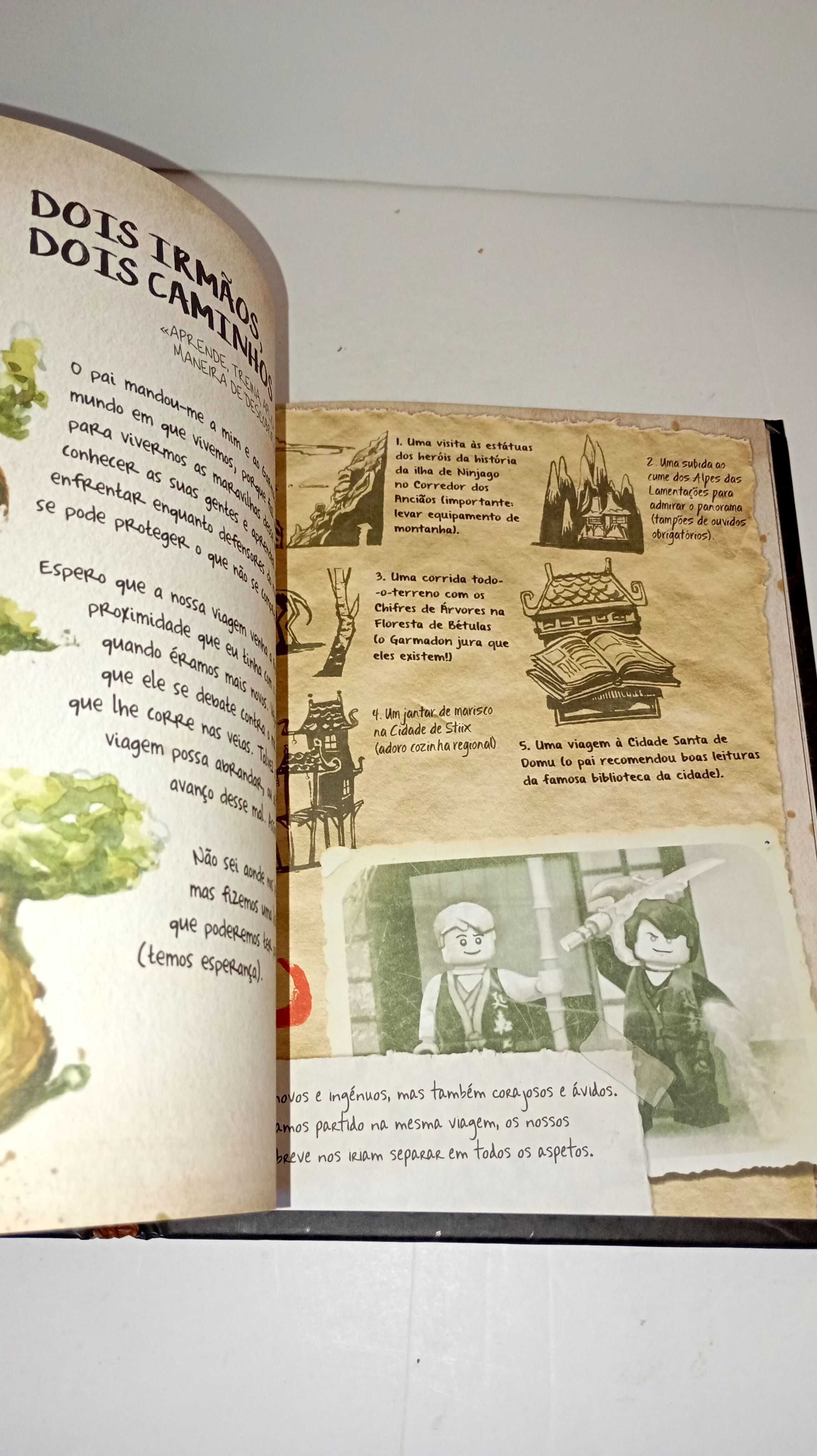 O livro do Spinjitzu - Lego Ninjago