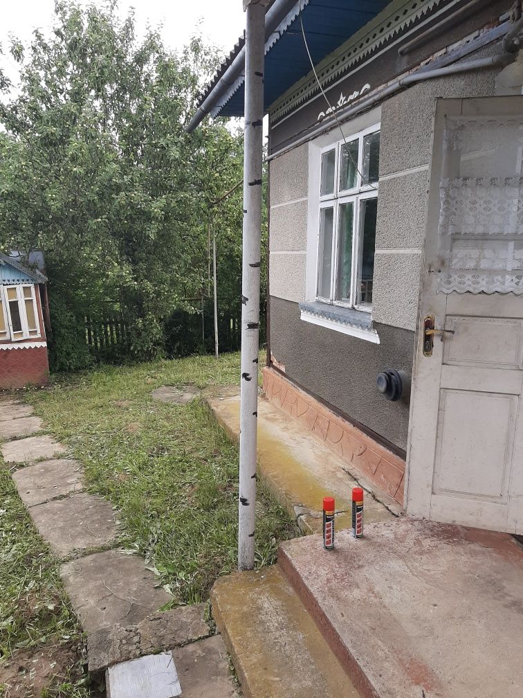 Продається будинок  з ставком  ,в с.Брусенки.Кицманский р.