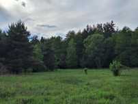 Dzialka pod lasem z mediami 2043m2 - Okuniew