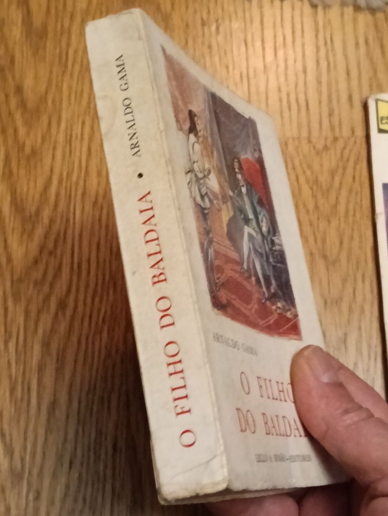Livro O Filho do Baldaia