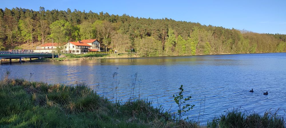 Wynajmę domek letniskowy, całoroczny w Tleniu w Bory Tucholskie